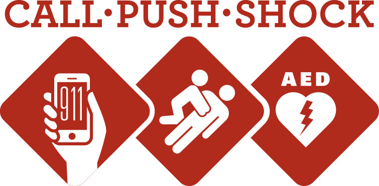 Call Push Shock logo