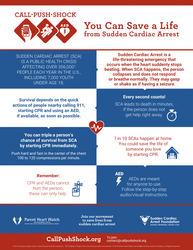 Call-Push-Shock Infographic