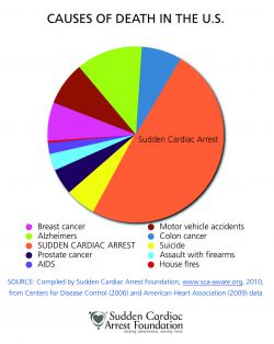 Causes of Death in the U.S.