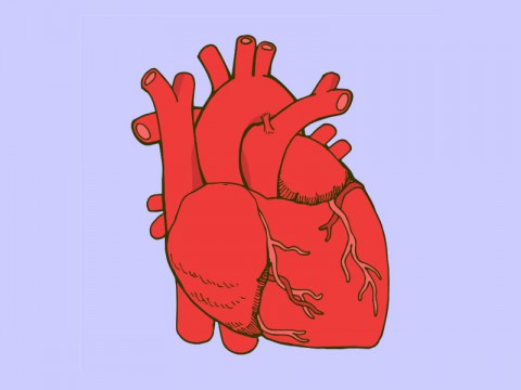 Graphic of heart