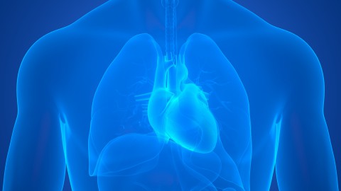 Cedars-Sinai investigators performed whole-genome sequencing on blood samples collected from 52 people 21 and younger who had sudden cardiac arrest. Illustration by Getty.