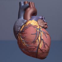 heart image