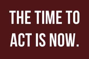 Graphic that says "the time to act is now"