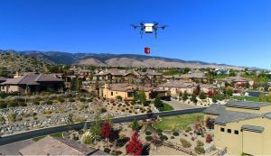 Flirtey drone delivery