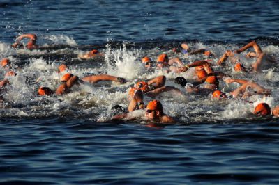 photo of swimmers