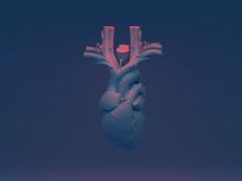Heart