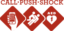 Call-Push-Shock logo