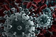 Corona virus