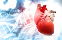 DNA-heart
