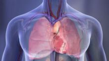 Heart and lungs illustration