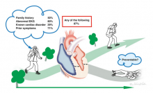 The majority of young people dying from sudden cardiac death due to HCM present with one or more abnormalities that may be recognized during cardiac screening.