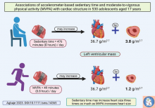 An average of 8 hours of sedentary time/day may increase cardiac mass three-fold more than 49 minutes/day of moderate to vigorous physical activity. Decreasing sedentary time should be prioritized among adolescents.